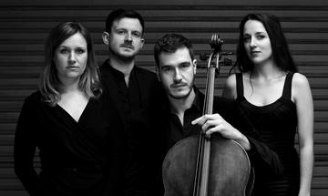 The Brodowski Quartet promo photo