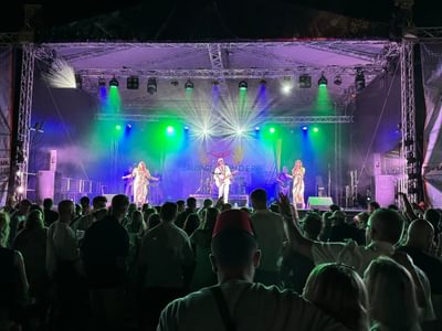 A lively crowd faces a brightly lit stage with musicians performing under vibrant green and purple lights at the Sausage and Cider Festival