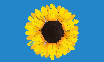 An illustration of a sunflower on a blue background with some of the petals looking like silhouette of the backs of women
