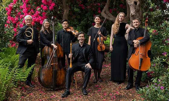 A group of seven musicians in black attire standing and sitting among lush greenery and vibrant pink flowers, holding classical instruments