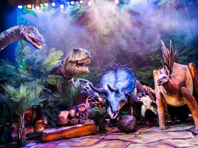 Huge brachiosaurus, t-rex, triceratops, and stegosaurus, puppets all on stage