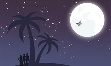 An illustrated image of a night sky with stars and a butterfly in front of a moon, with a silhouette of two palm trees and three people stood next to them