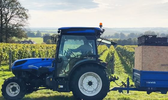 A blue tractor pulling a blue trailer with wood and black boxes. It is driving past the vineyard on a sunny day